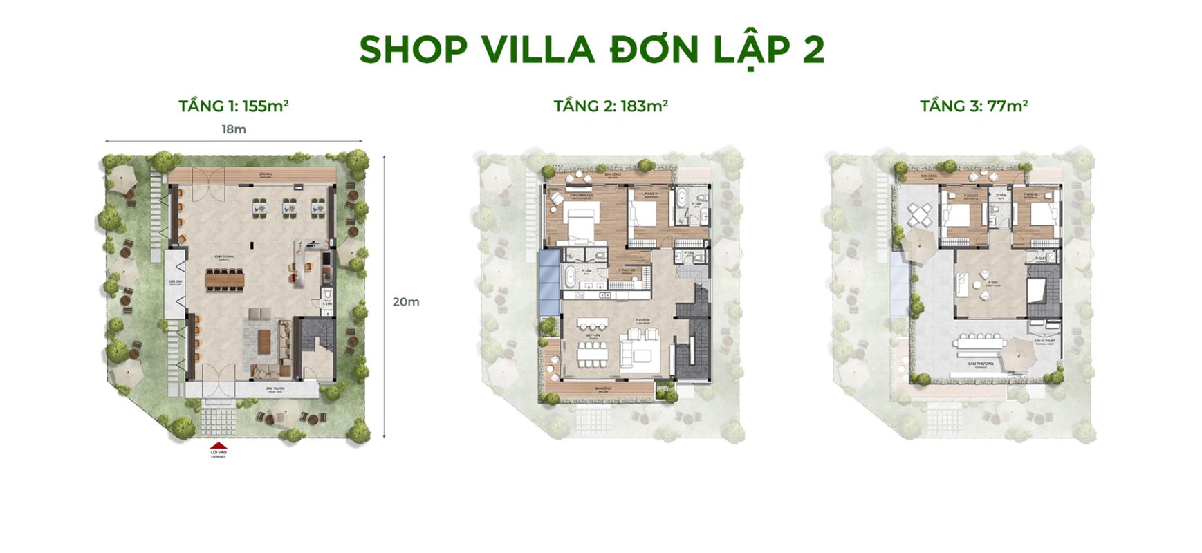 don-lap-01-20250603015409-qmiuq