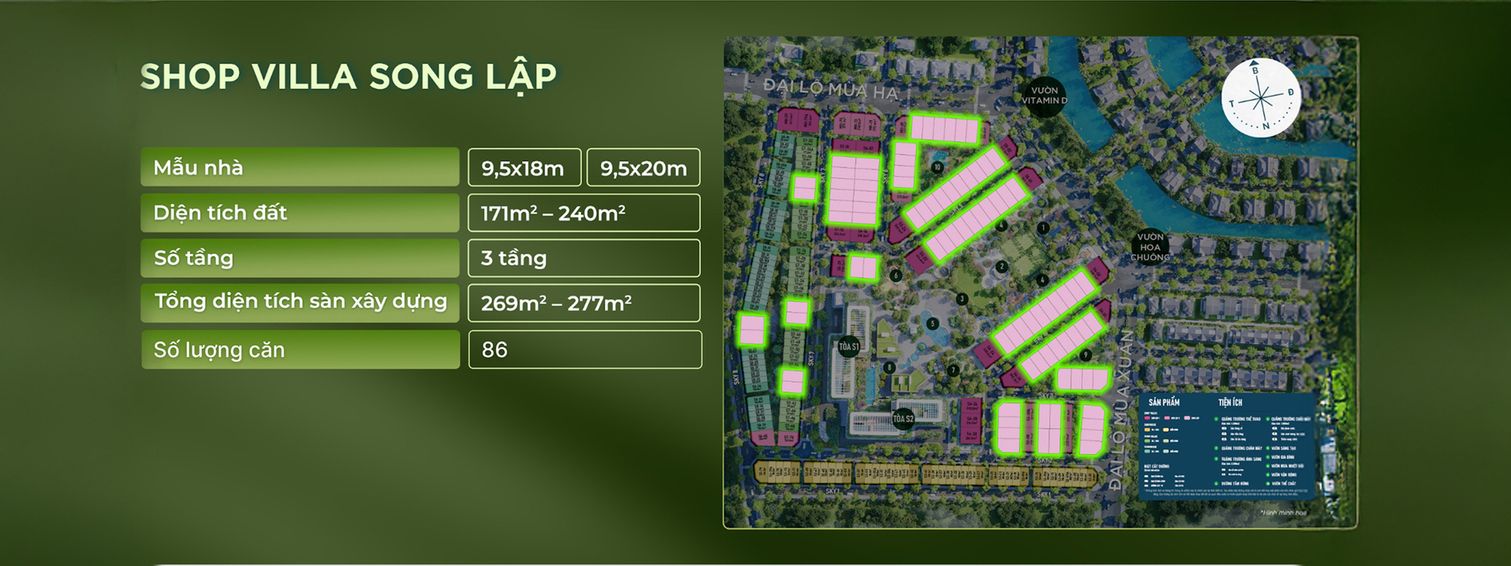 in-ong-lap-20250603025114-sepmk